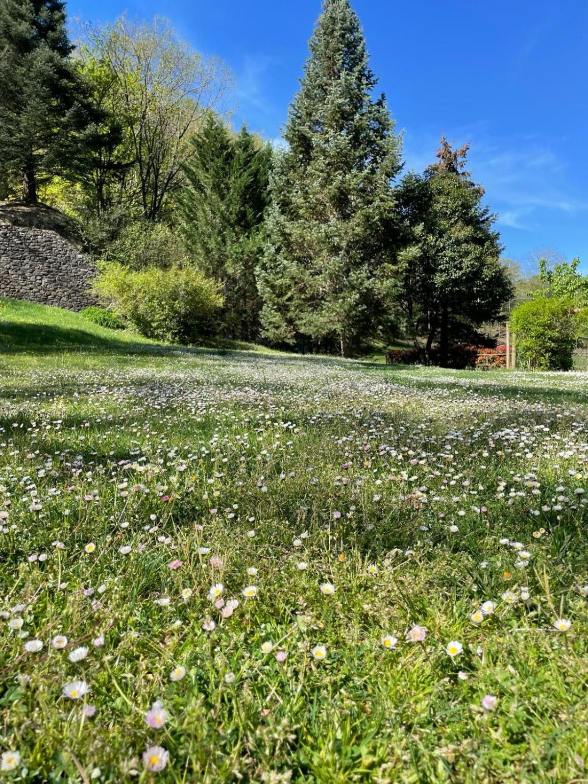Can Torrotes La Vall de Bianya Exterior photo